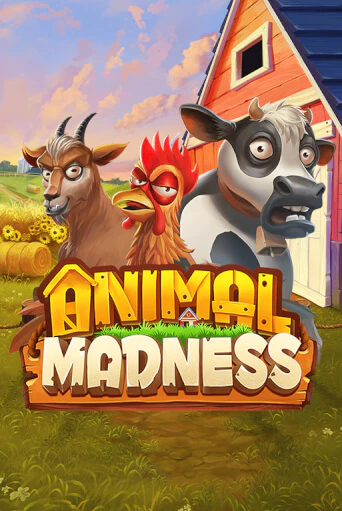 Animal Madness бесплатно онлайн | Вулкан Vegas без денег