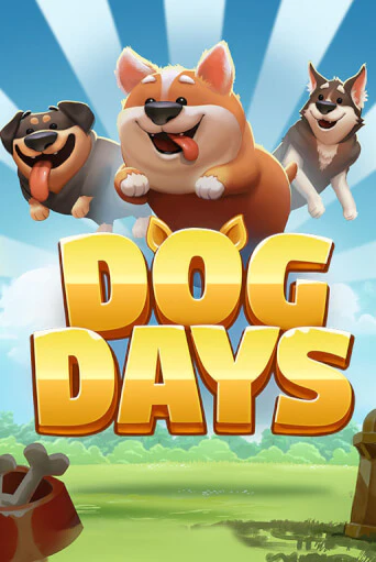Dog Days бесплатно онлайн | Вулкан Vegas без денег