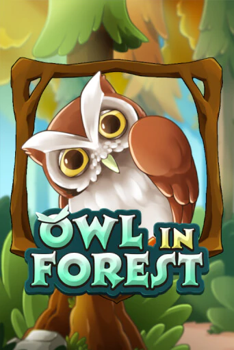 Owl In Forest бесплатно онлайн | Вулкан Vegas без денег