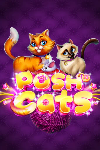 Posh Cats бесплатно онлайн | Вулкан Vegas без денег