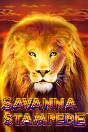 Savanna Stampede бесплатно онлайн | Вулкан Vegas без денег