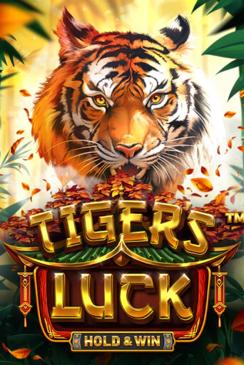 Tiger's Luck - Hold & Win бесплатно онлайн | Вулкан Vegas без денег