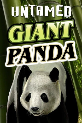 Untamed - Giant Panda бесплатно онлайн | Вулкан Vegas без денег