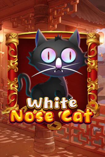 White Nose Cat бесплатно онлайн | Вулкан Vegas без денег
